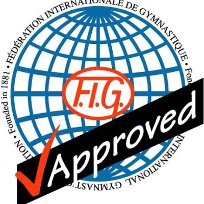 Logo_FIG-thegem-post-thumb-large.jpg