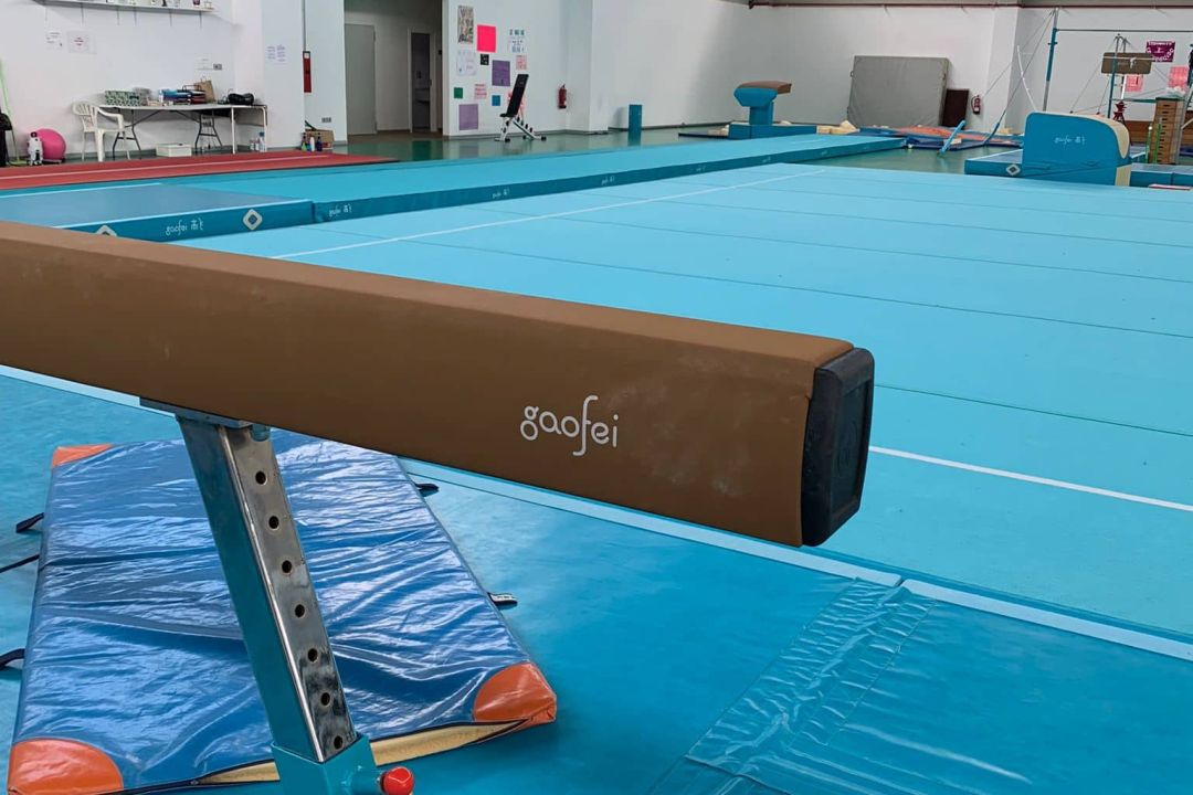 Gym Artística 1